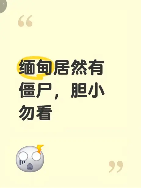 《缅甸僵尸出土事件》高清视频-缅北僵尸出土现场全程录像揭秘-最新完整版免费在线播放-神秘事件真相全集