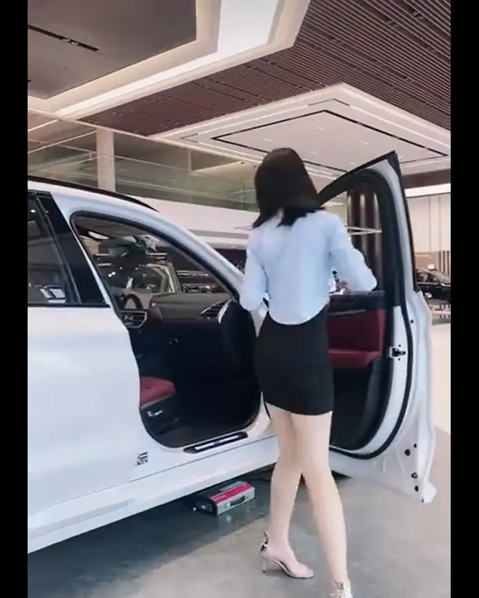 佳木斯新玛特迪桑特女销售导购实录1080P高清无删减-免费在线看全系列-导购日常东北专柜无广告