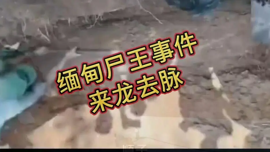 《缅甸僵尸出土事件视频》完整版资源在线观看免费播放 - 缅北僵尸出土事件始末原视频高清下载 - 超清未删减全程录像